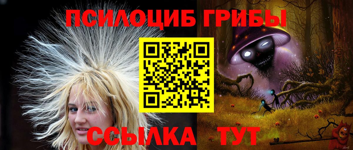 Псилоцибиновые грибы GOLDEN TEACHER Углич