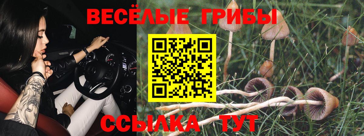 Галлюциногенные грибы MAGIC MUSHROOMS  Вход с VPN  Углич 